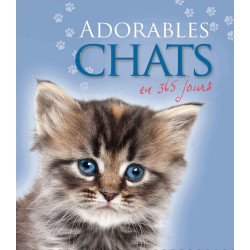 Adorables chats: en 365 jours