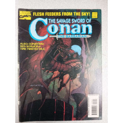 The savage sword of Conan: The barbarian N.223 - Jul 1994