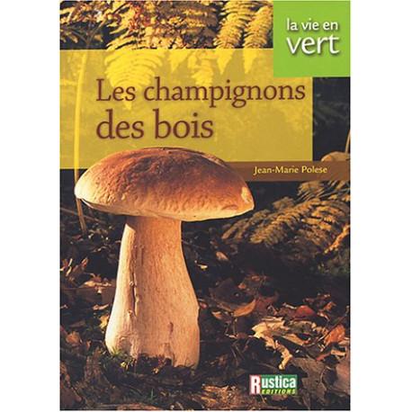 Vie en vert : Champignons des bois