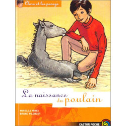 Clara et les Poneys tome 3 : La Naissance du poulain