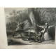 Le capitaine G. Lafond Voyages autour du... Administration de...