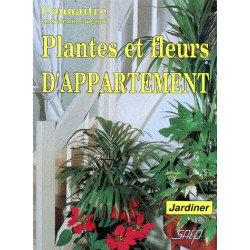 Plantes et fleurs d'appartement