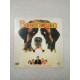 DVD Film - Beethoven