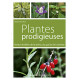 Plantes prodigieuses : Vertus révélées de la stévia du goji et de...