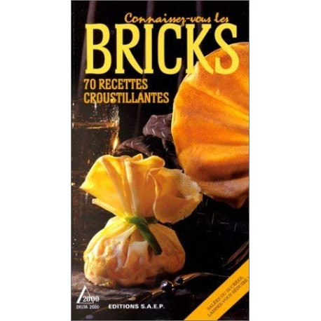 Craquez pour les bricks