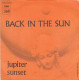Back In The Sun