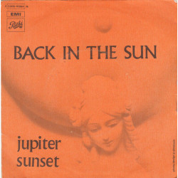 Back In The Sun