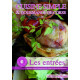 Cuisine simple et gourmande de Corse : Les entrées