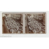 Vue Stéréoscopique Stéréo 67 STRASBOURG 2 vues Rue Mercière défilé...
