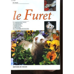 Le furet