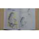 Univers féériques au dessin et à l'aquarelle Edigo avec dvd