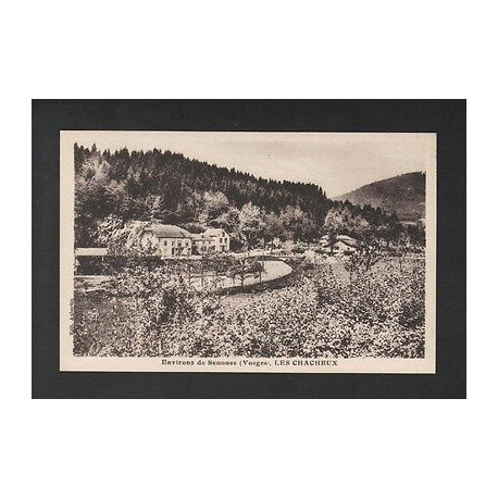 CPA 88 SENONES Les CHACHEUX vosges