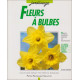 Bulbes à Fleurs