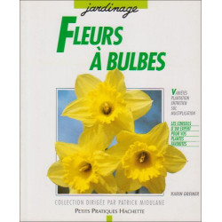 Bulbes à Fleurs