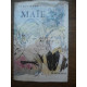 Luce marc maïe