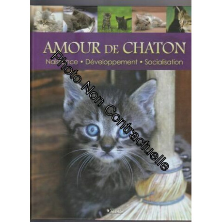 Amour de Chaton : Naissance développement socialisation