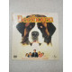 DVD Film - Beethoven