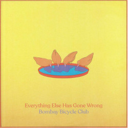 Everything Else Has Gone Wrong