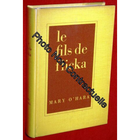 Le Fils De Flicka