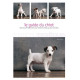 Le guide du chiot