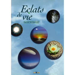 Eclats de vie