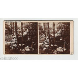Vue Stéréoscopique Stéréo ALLEMAGNE BADEN BADEN bühlertal...