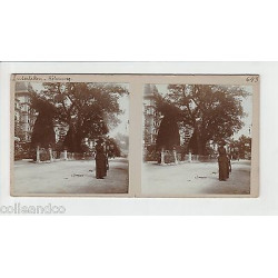 Vue Stéréoscopique Stéréo SUISSE Interlaken Höheweg Vue de Fribourg