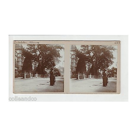 Vue Stéréoscopique Stéréo SUISSE Interlaken Höheweg Vue de Fribourg