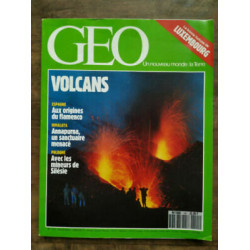 Magazine GEO n141 Novembre 1990