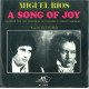 A Song Of Joy