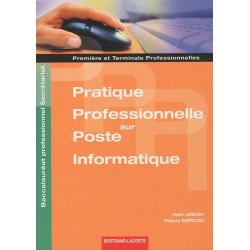 Pratique professionnelle sur poste informatique 1e et Tle Bac pro...
