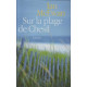 Sur la plage de Chesil