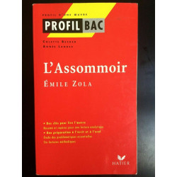 Colette becker Agnés landes L'Assommoir hatier