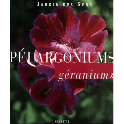 Pélargoniums