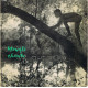Mowgli Chante