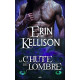La chute de l'Ombre - Série de l'Ombre T2