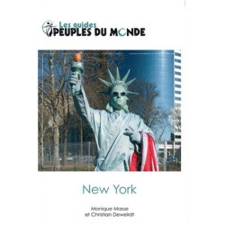 Guide New York 100 pour 100 pratique