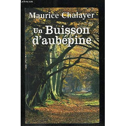 Un buisson d'aubépine