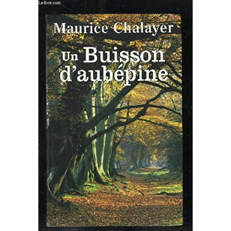 Un buisson d'aubépine