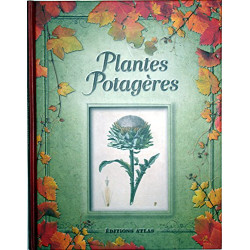 Plantes potagères