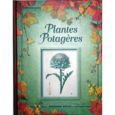 Plantes potagères
