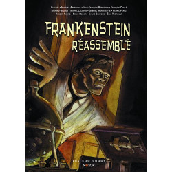 Frankenstein réassemble