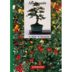 Les Bonsaïs