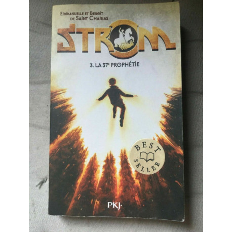 Emmanuelle Benoit de St chamas storm tome 3 nathan