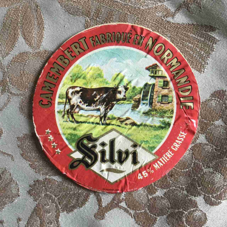Silvi