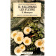 Je reconnais les fleurs