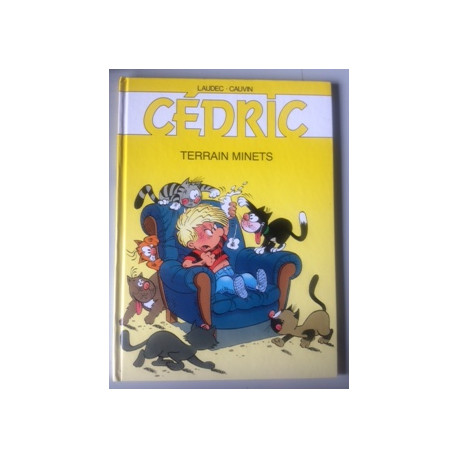 CEDRIC - TERRAIN MINETS