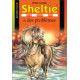 Sheltie a des problèmes