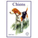 Chiens