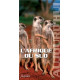 L'afrique du sud aujourd'hui